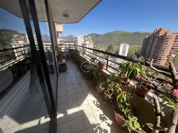 Imagen 5