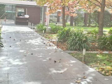 Imagen 5