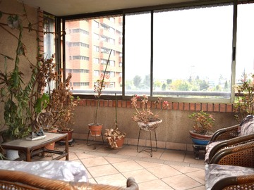 Imagen 5