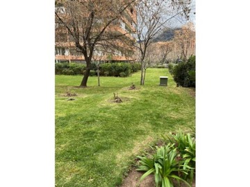 Imagen 23