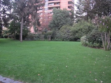 Imagen 5