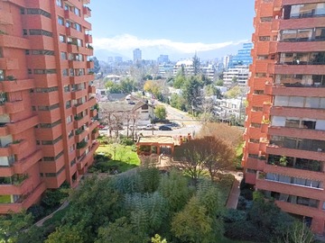 Imagen 19