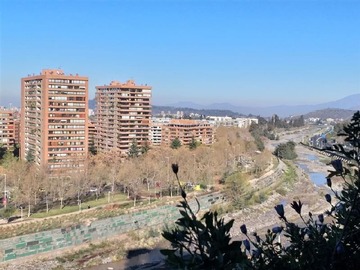 Imagen 7