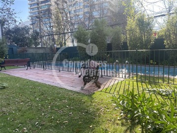 Imagen 34