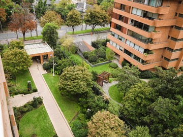 Imagen 7