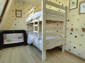 Imagen 16