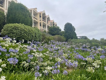 Venta / Departamento / Zapallar