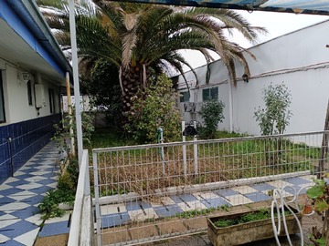 jardin interior
