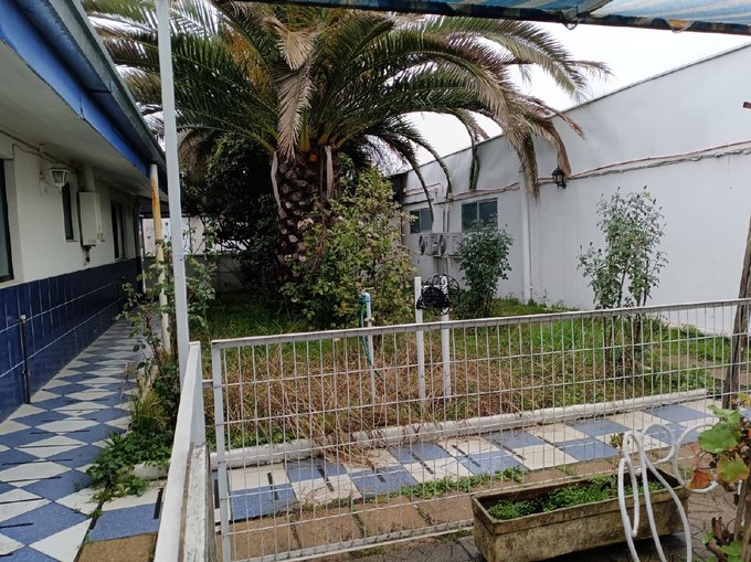 jardin interior