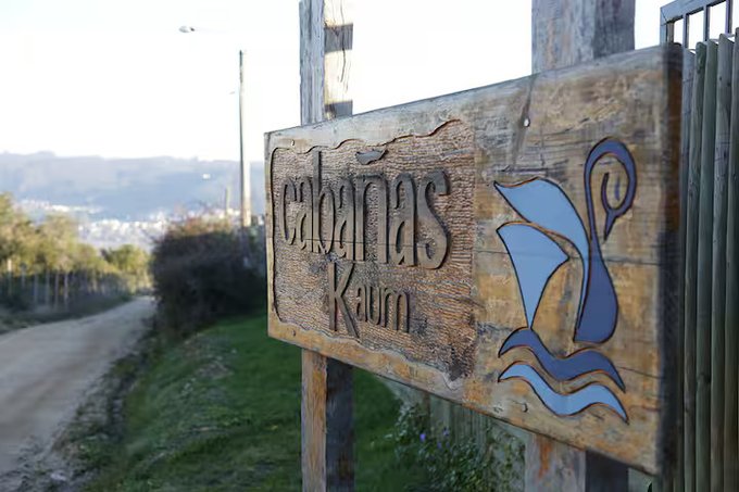 Frontis