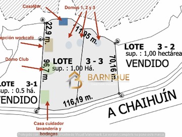 Imagen 12