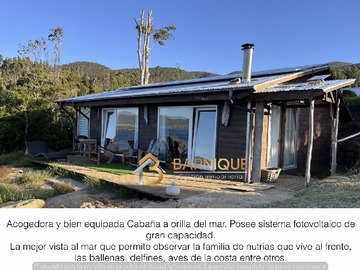 Imagen 8