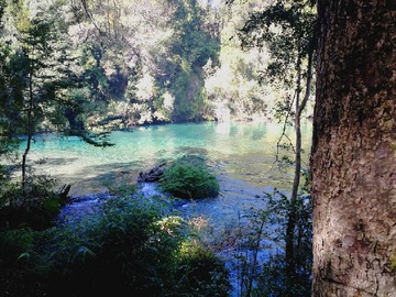 Venta / Hotel / Pucón