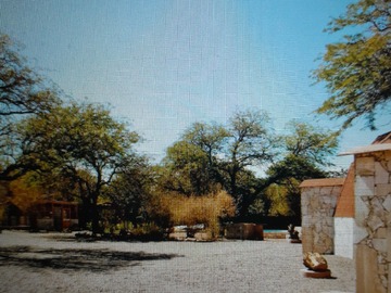 Imagen 5
