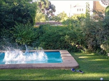Imagen 6