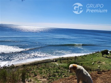 Imagen 6
