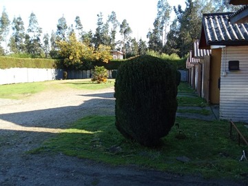 Imagen 10