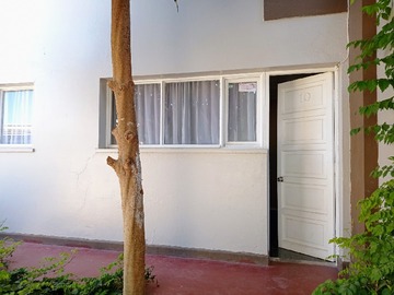 Imagen 25