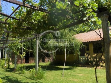 Imagen 7