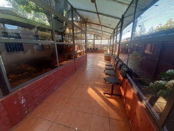 Imagen 29