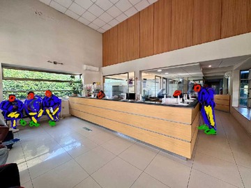 Imagen 4