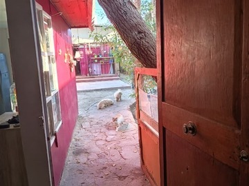 Venta / Local Comercial / Copiapó