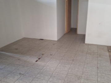 Imagen 5