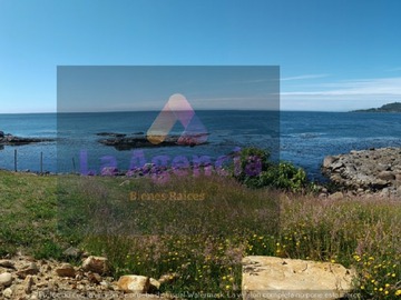 Imagen 26