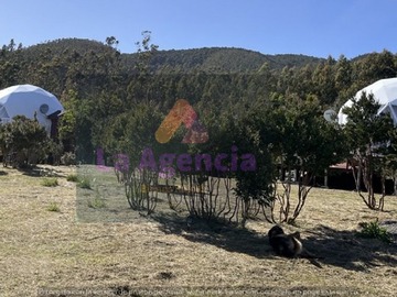 Imagen 5