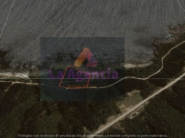 Imagen 13