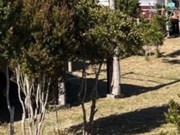 Imagen 17