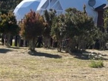 Imagen 16