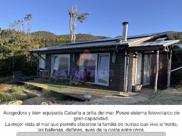 Imagen 9