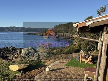 Imagen 11
