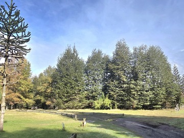 Venta / Local Comercial / Curacautín