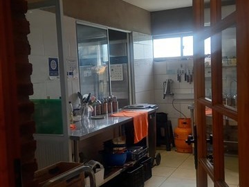 Imagen 15