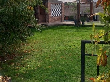 Imagen 7