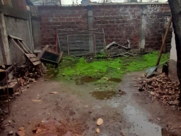 Imagen 12