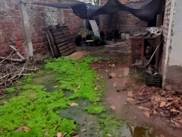 Imagen 20