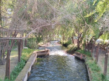 Imagen 12