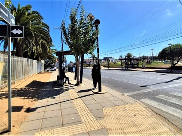 Imagen 20