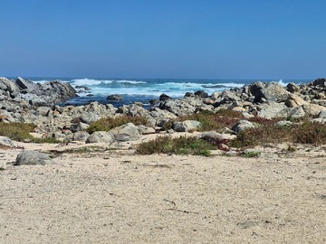 Playa El Caleuche El Tabo