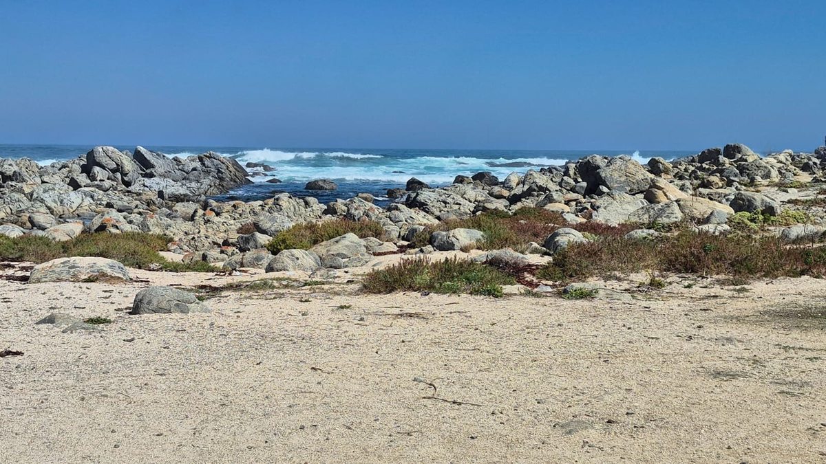 Playa El Caleuche El Tabo