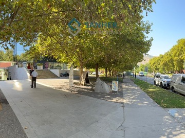Imagen 5