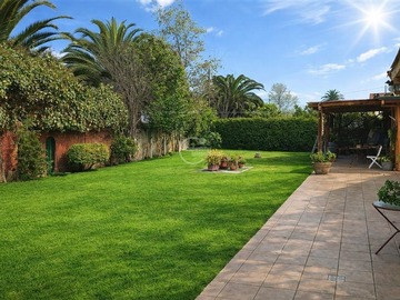 Imagen 19