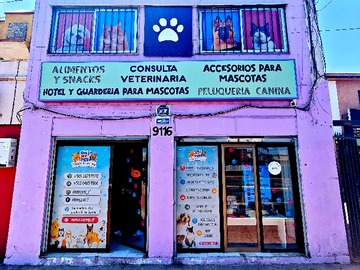 Imagen 7