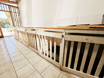 Imagen 11