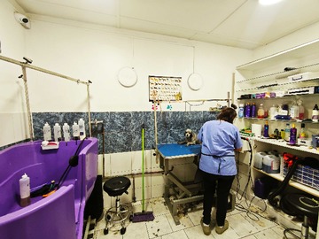 Imagen 20