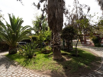 Imagen 12