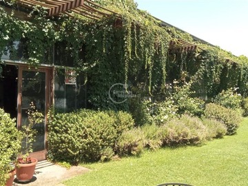 Imagen 18